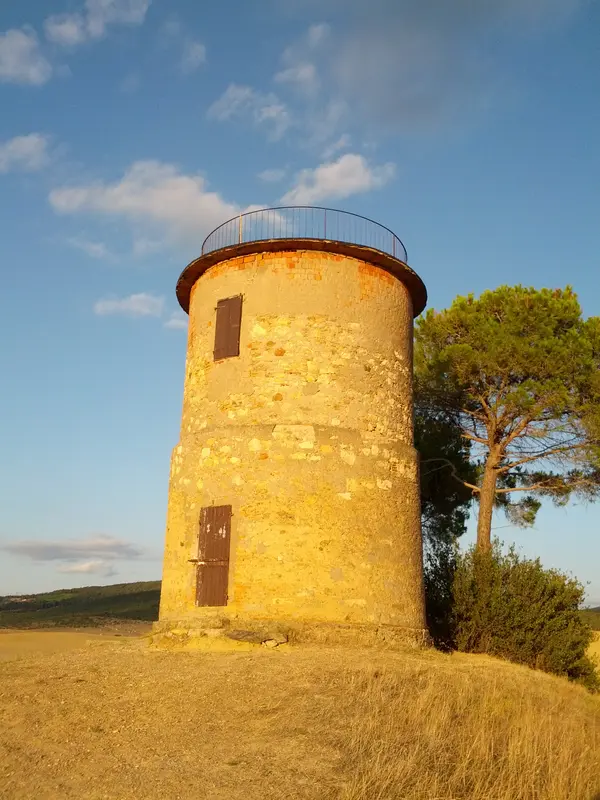 Mulino del cardellino